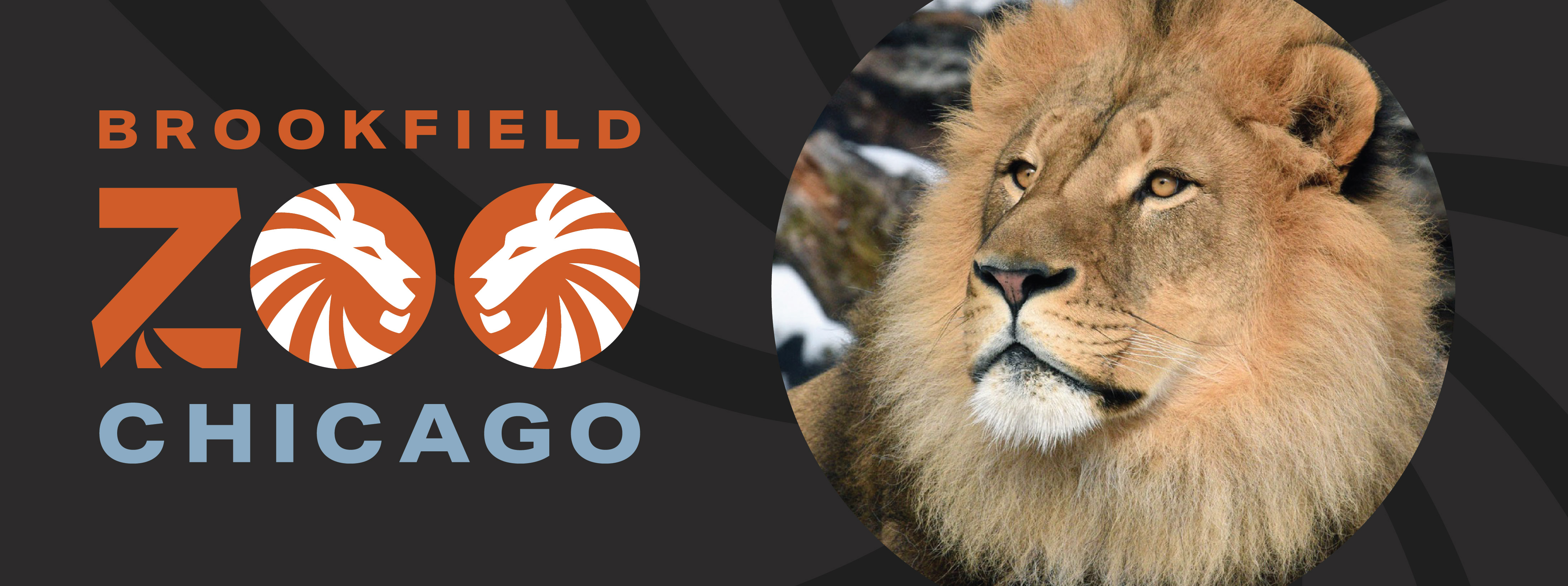 brookfield zoo chicago jobs