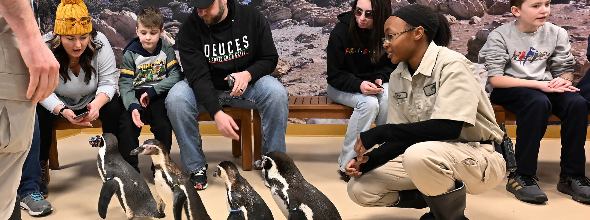 brookfield zoo chicago careers